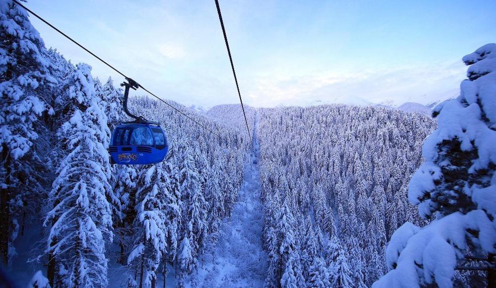 Green Life Bansko, 1 Bedroom Private Apartment D4 Extérieur photo